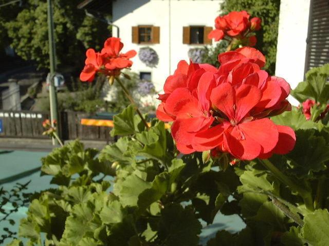 Hotel Gasthof Wastl Appiano Sulla Strada Del Vino Exterior photo